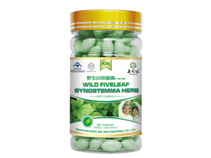 點(diǎn)擊放大 野生絞股藍(lán)精降三高營(yíng)養(yǎng)素