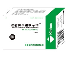 點擊大放