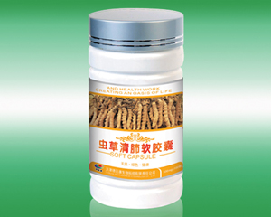 點(diǎn)擊放大 蟲草清肺軟膠囊