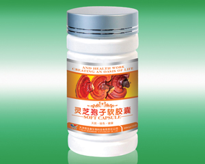 點(diǎn)擊放大 靈芝孢子軟膠囊