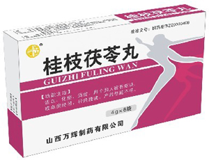 點(diǎn)擊放大 桂枝茯苓丸{濃縮水蜜丸}