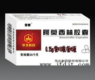 點(diǎn)擊放大 阿莫西林膠囊