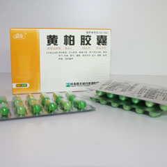 點(diǎn)擊放大 黃柏膠囊