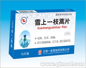 ѩ��һ֦��Ƭ