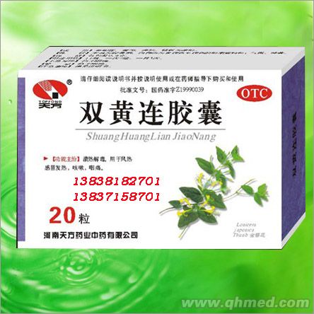 �p�S�B�z��