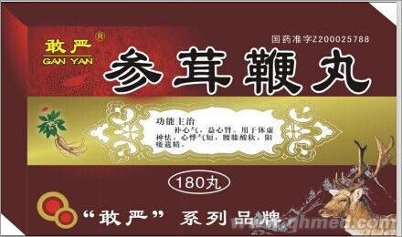 點(diǎn)擊放大 參茸鞭丸