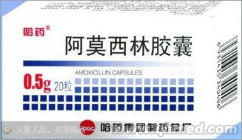 點(diǎn)擊放大 阿莫西林膠囊