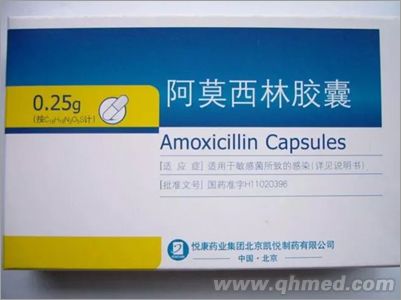 點(diǎn)擊放大 阿莫西林膠囊
