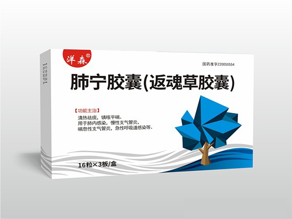 點(diǎn)擊放大 肺寧膠囊(返魂草膠囊)