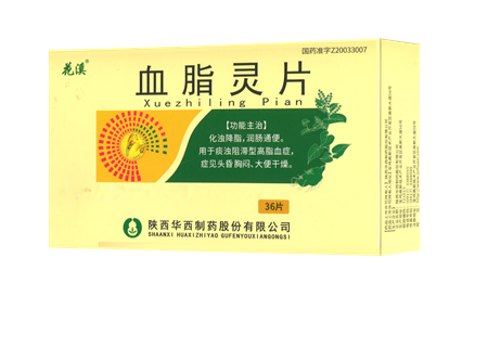 點(diǎn)擊放大 血脂靈片