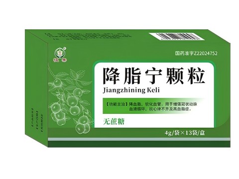 降脂寧顆粒（無(wú)蔗糖） 