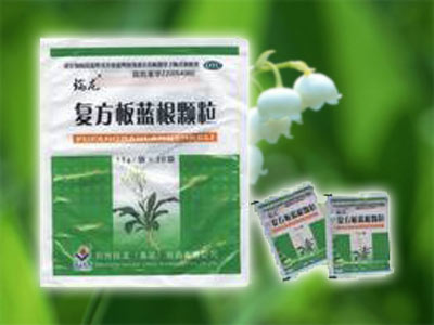 夏季熱銷、成熟品種--復(fù)方板藍(lán)根顆粒 