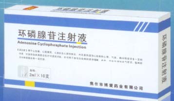 點(diǎn)擊放大 環(huán)磷腺苷注射液