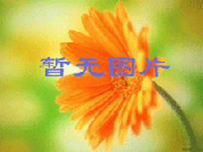 點(diǎn)擊大放