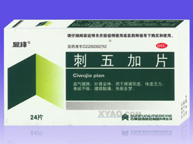 點擊放大 刺五加片