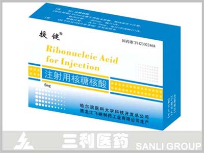 點(diǎn)擊放大 核糖核酸