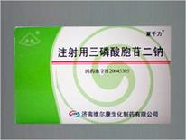 點(diǎn)擊放大 注射液三磷酸胞苷二鈉