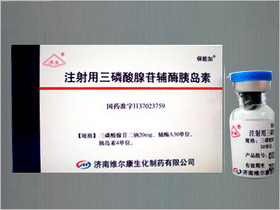 點擊放大 注射用三磷酸腺苷輔酶胰島素